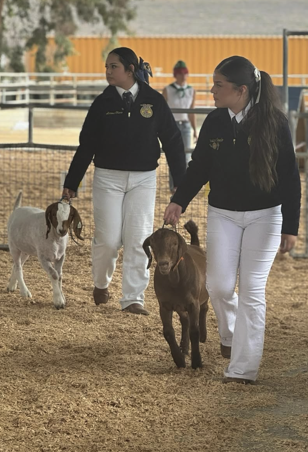 CTE Program Highlight